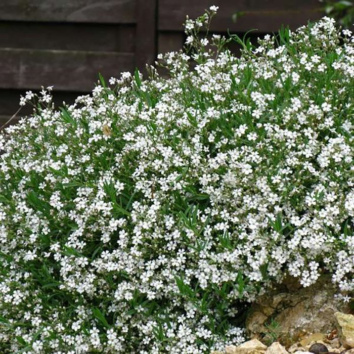 Превью изображения