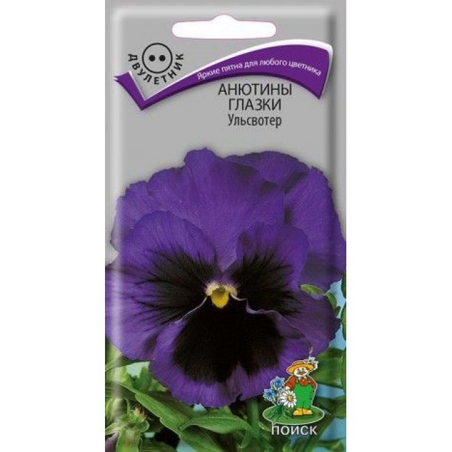 Превью изображения