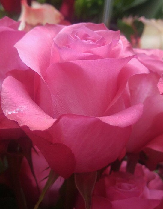 Превью изображения