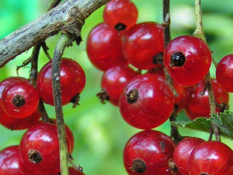 Превью изображения