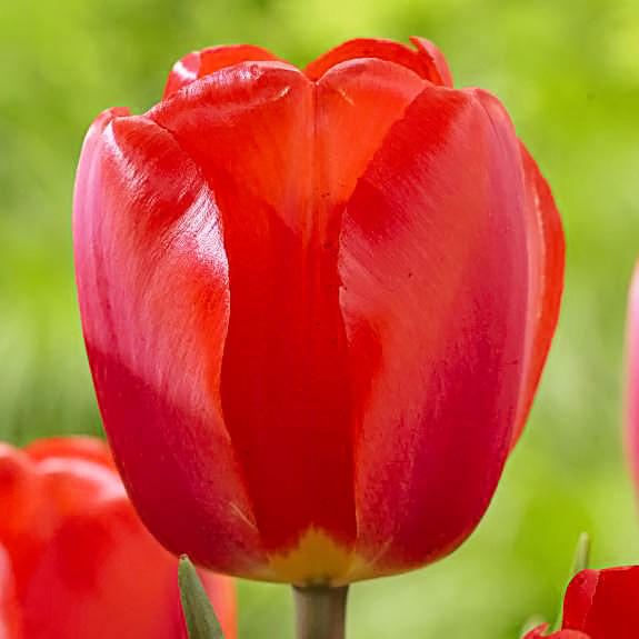 Превью изображения
