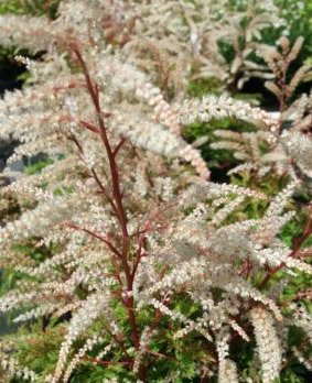 Превью изображения