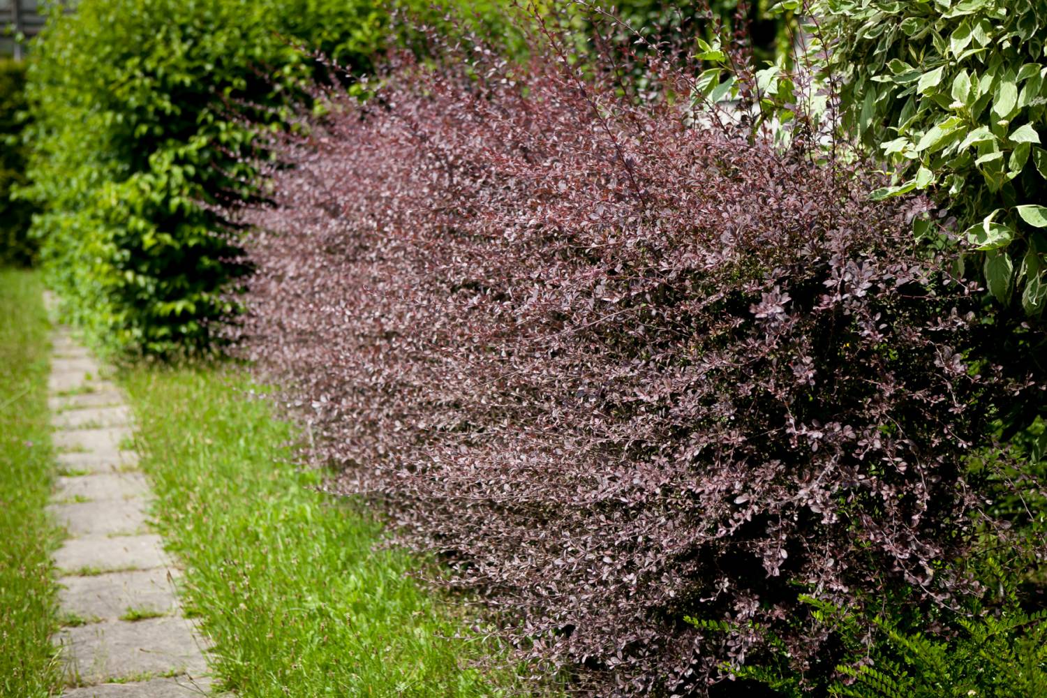 Превью изображения