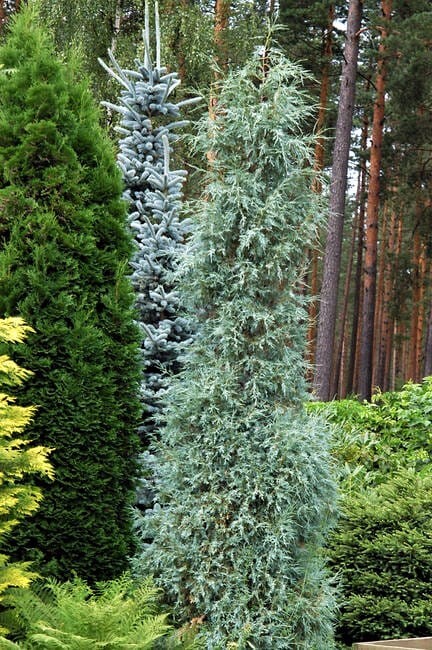 Превью изображения