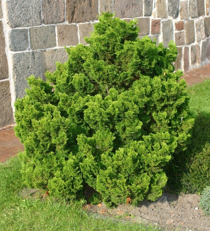 Превью изображения