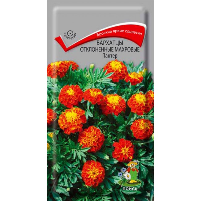 Превью изображения