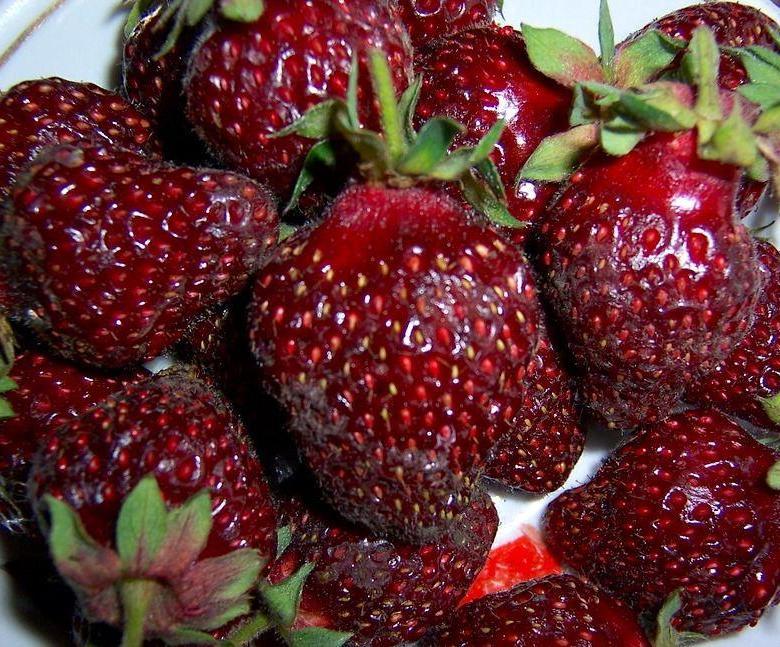 Превью изображения