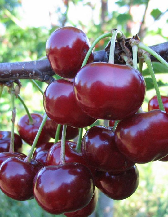 Превью изображения