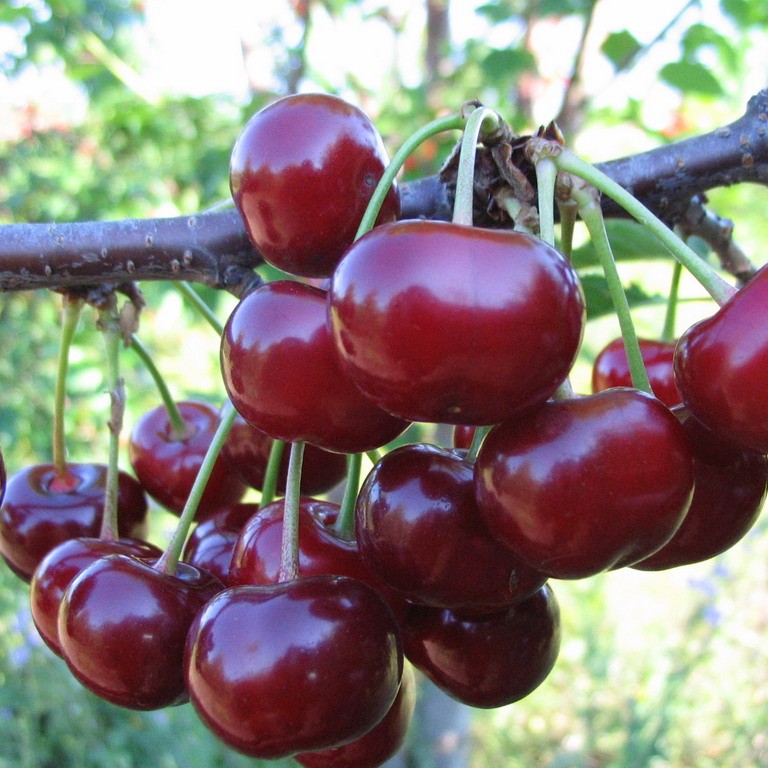 Превью изображения