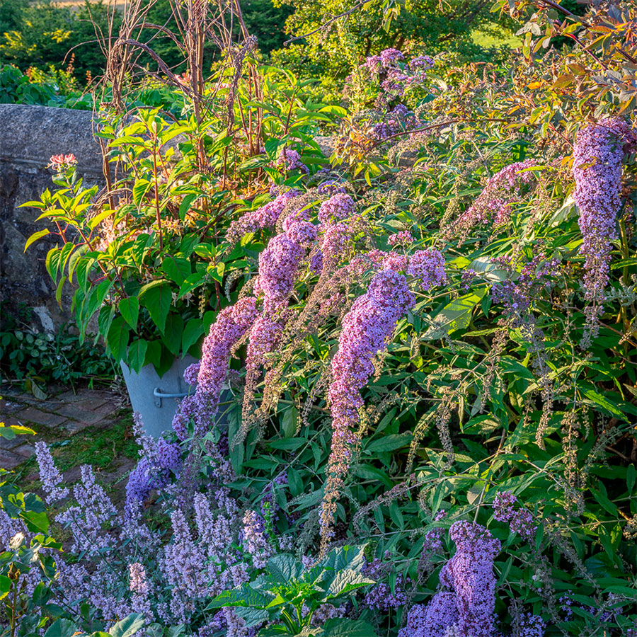 Превью изображения