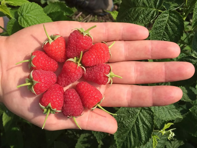 Превью изображения