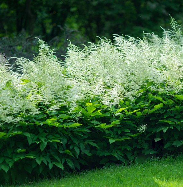 Превью изображения