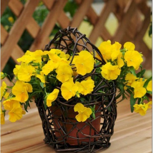 Превью изображения