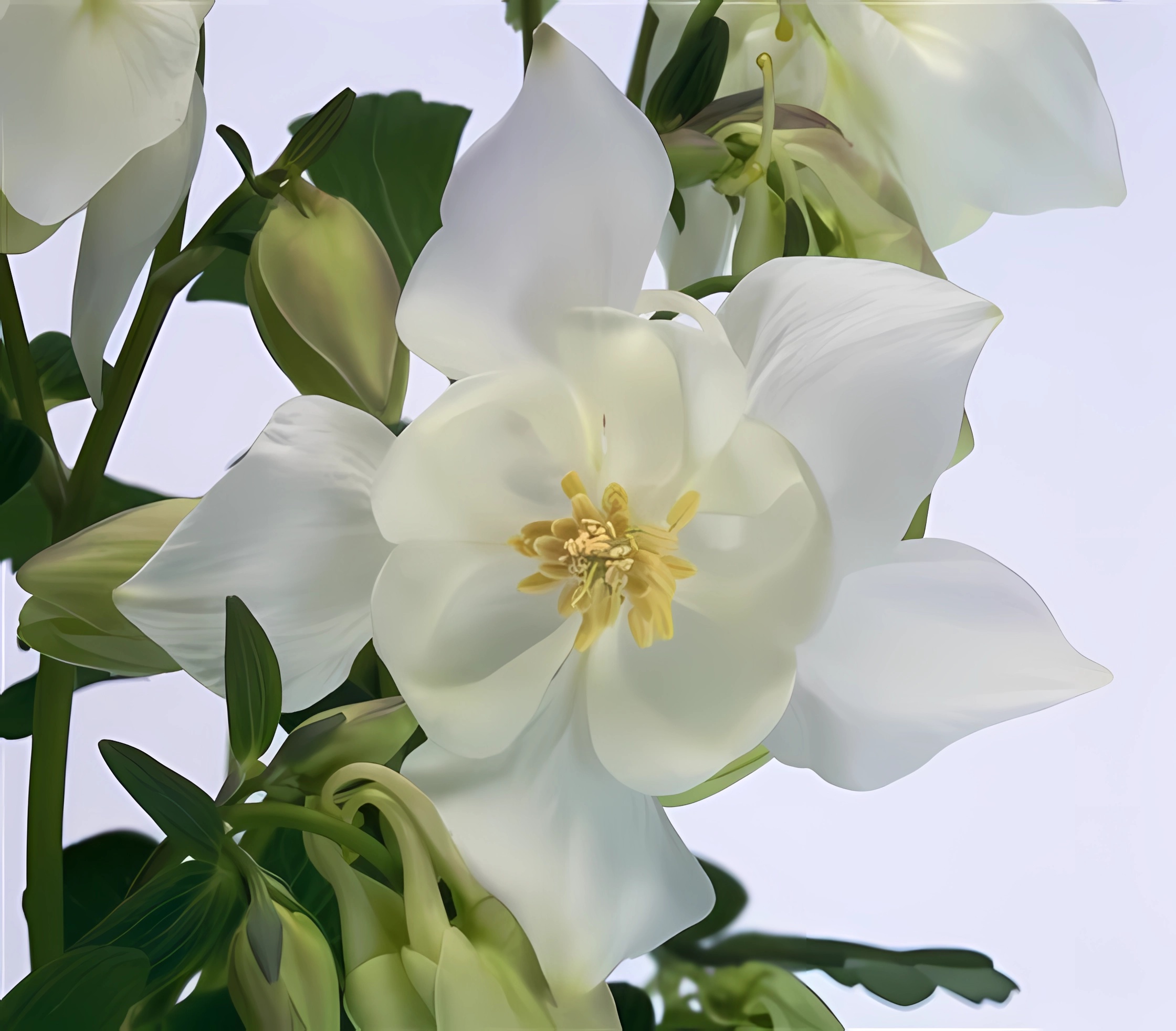 Превью изображения