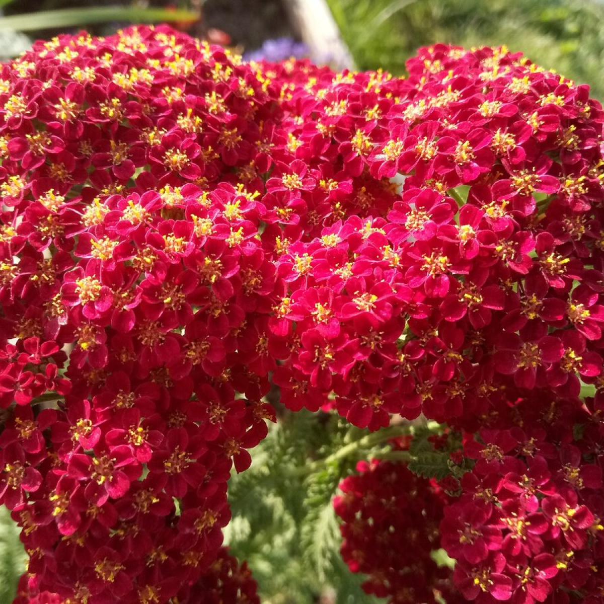 Превью изображения