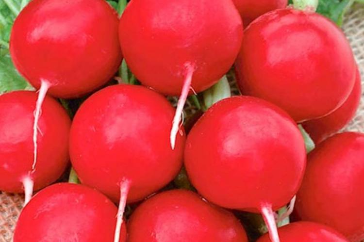 Превью изображения