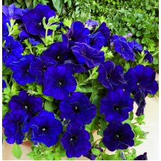 Превью изображения