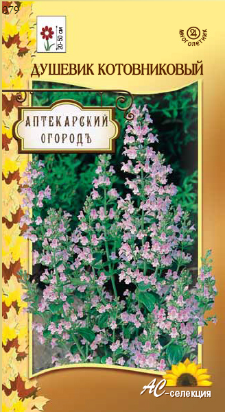 Превью изображения