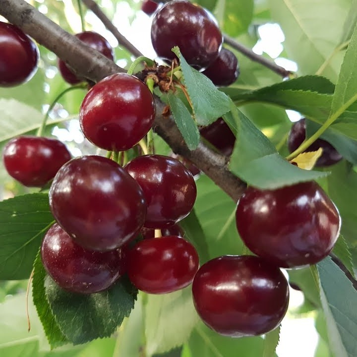 Превью изображения