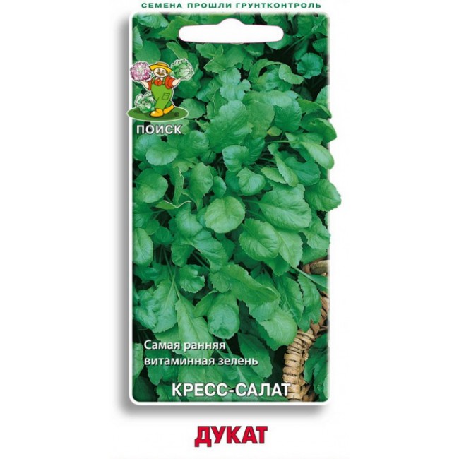 Превью изображения