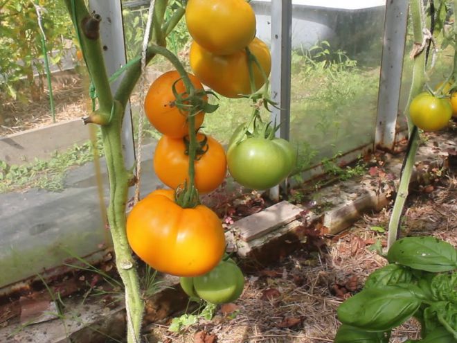 Превью изображения