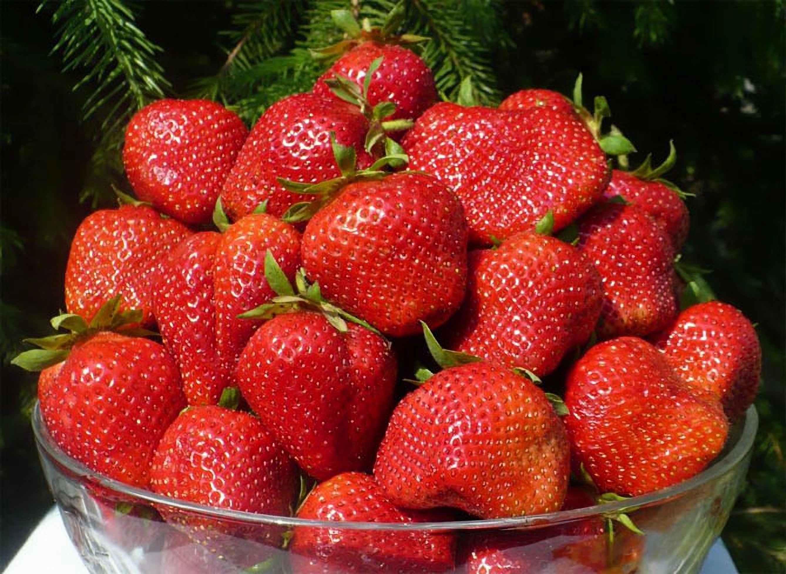 Превью изображения