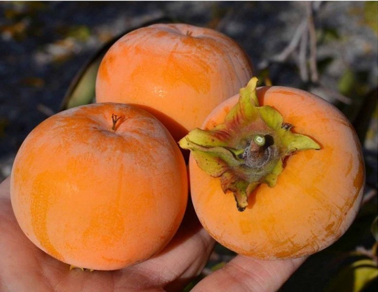 Превью изображения