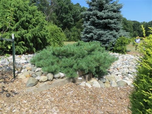 Превью изображения