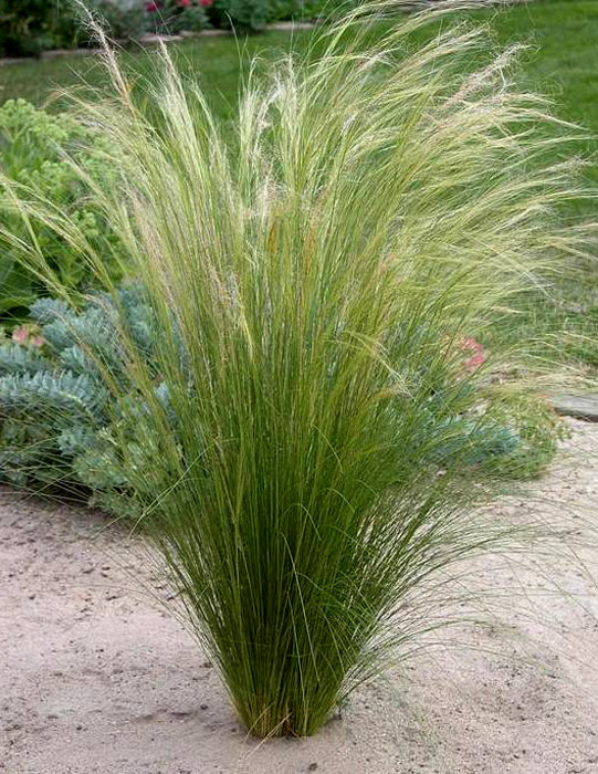 Превью изображения