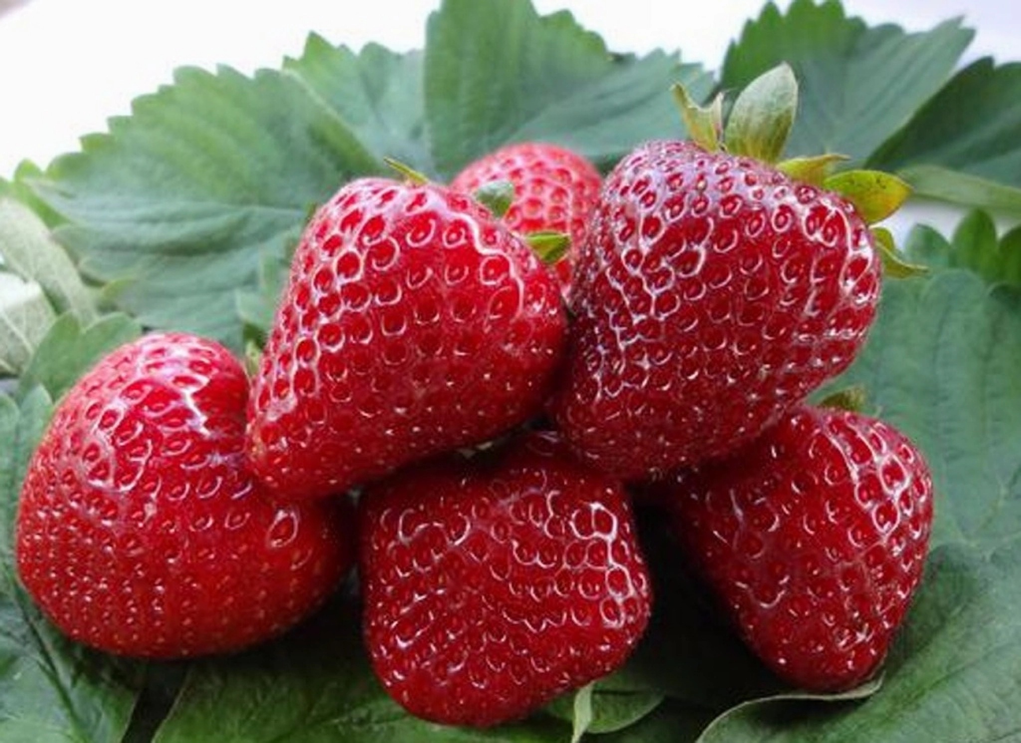 Превью изображения