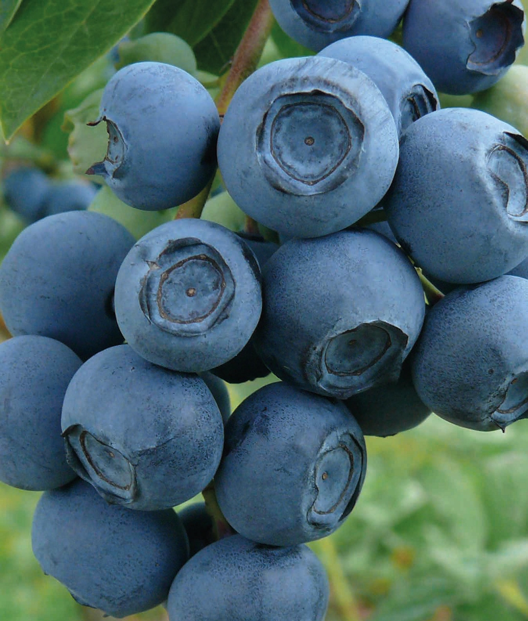 Превью изображения