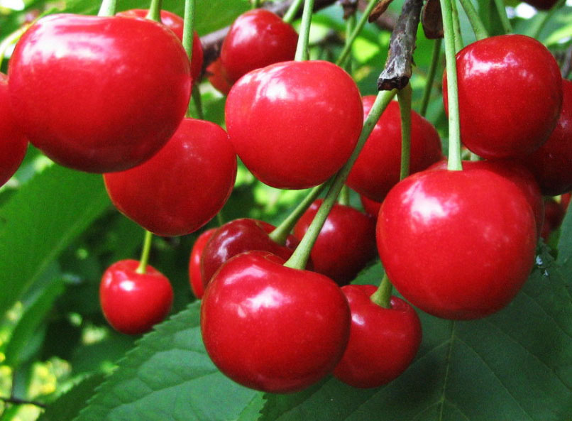 Превью изображения