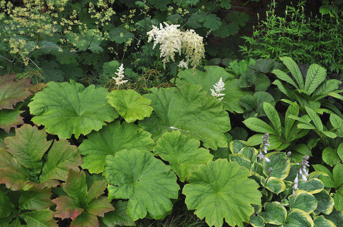 Превью изображения