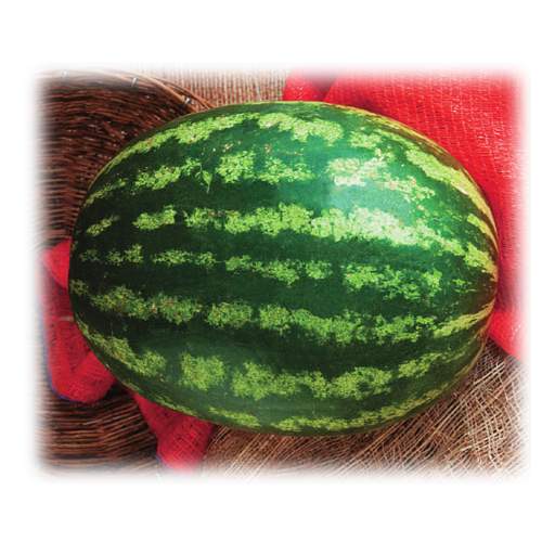 Превью изображения