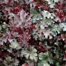 Превью изображения