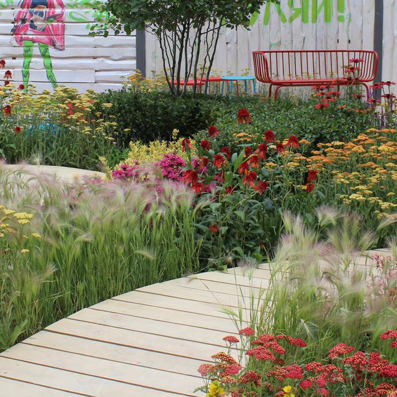 Превью изображения