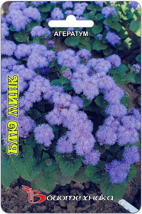 Превью изображения