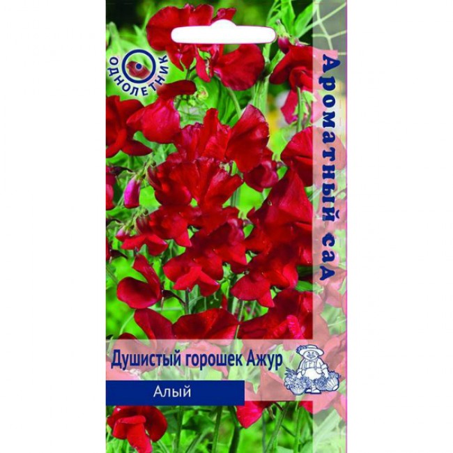 Превью изображения