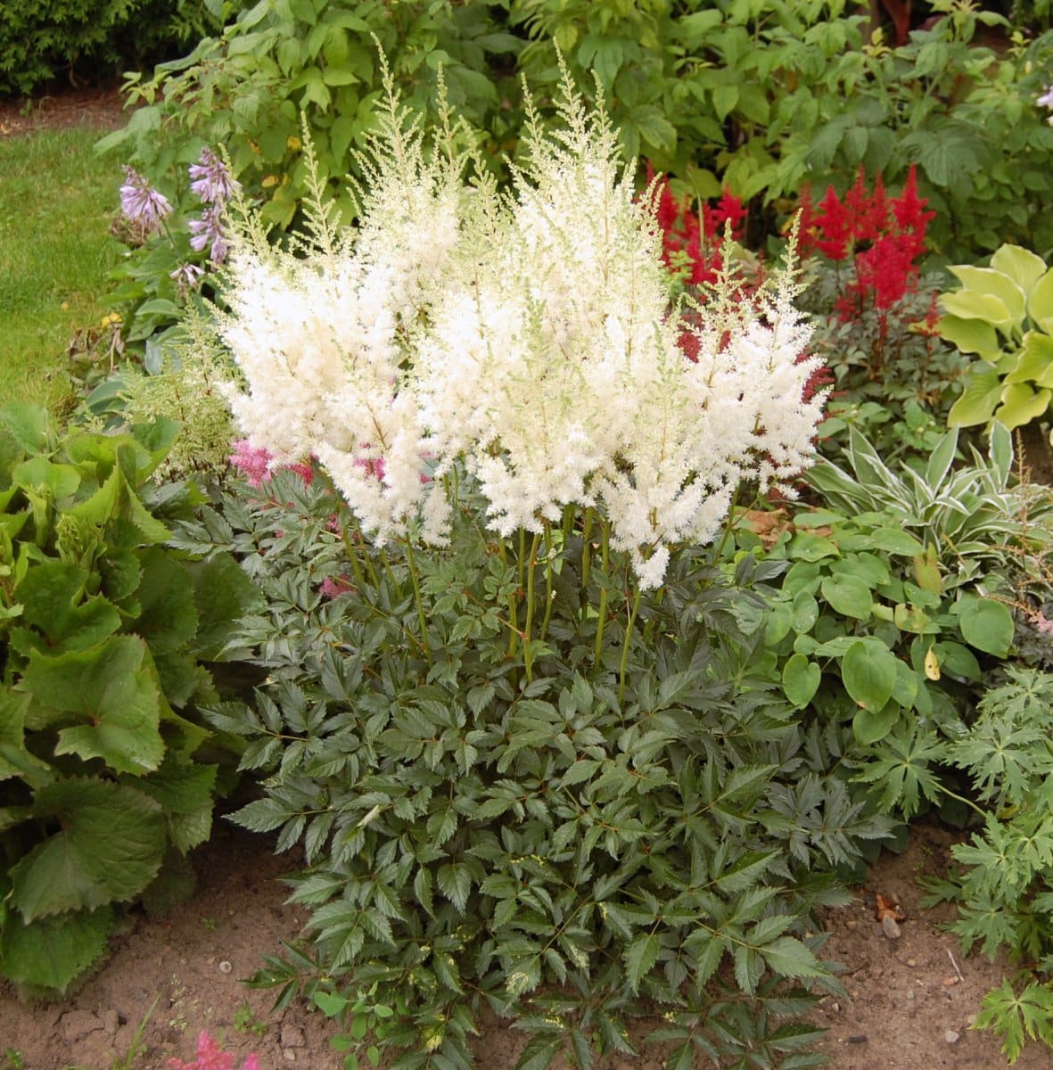 Превью изображения