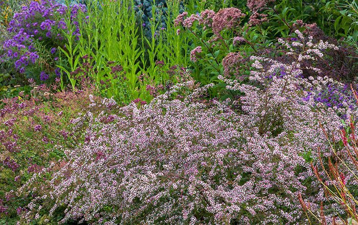 Превью изображения