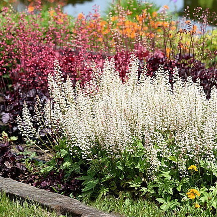 Превью изображения