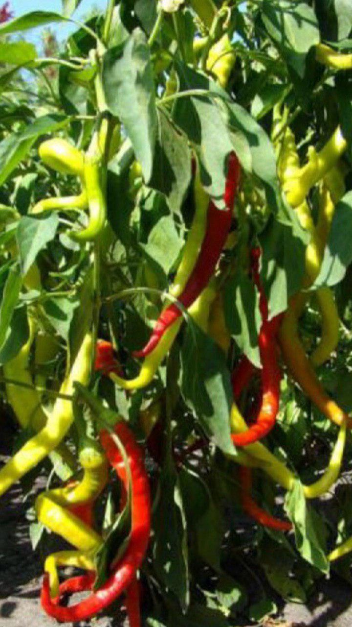 Превью изображения