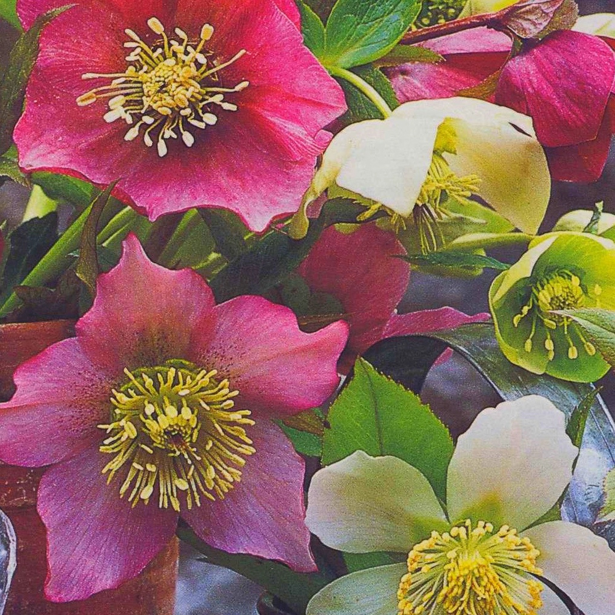 Превью изображения