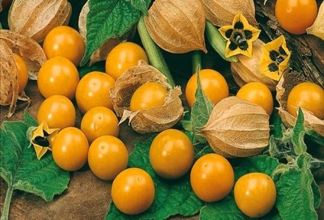 Превью изображения