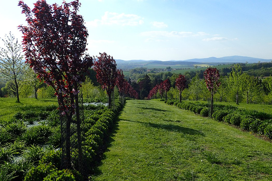 Превью изображения