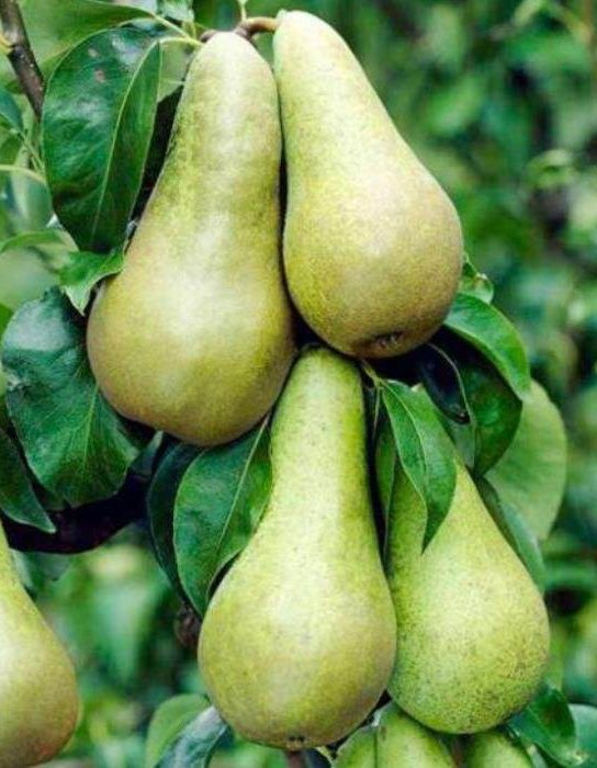 Превью изображения