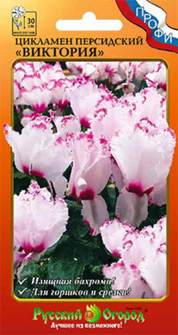 Превью изображения