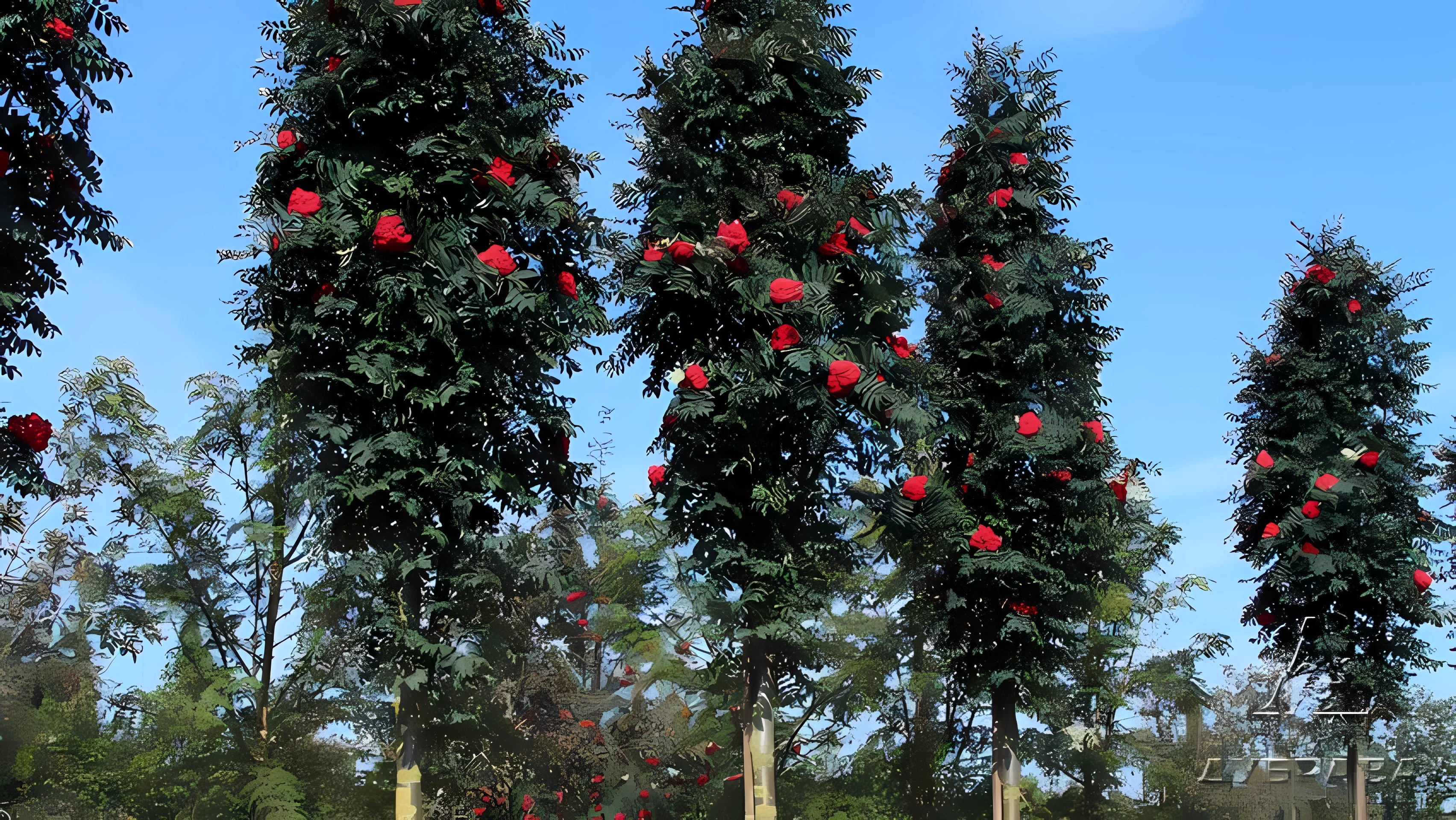 Превью изображения