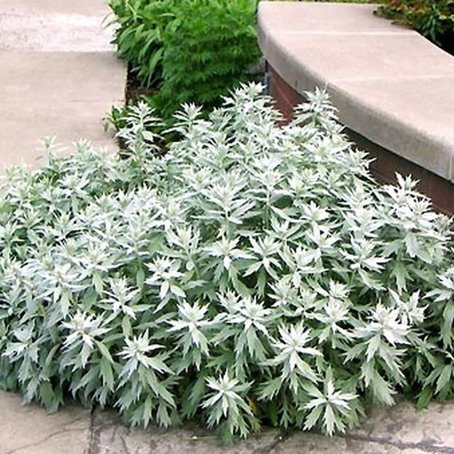 Превью изображения