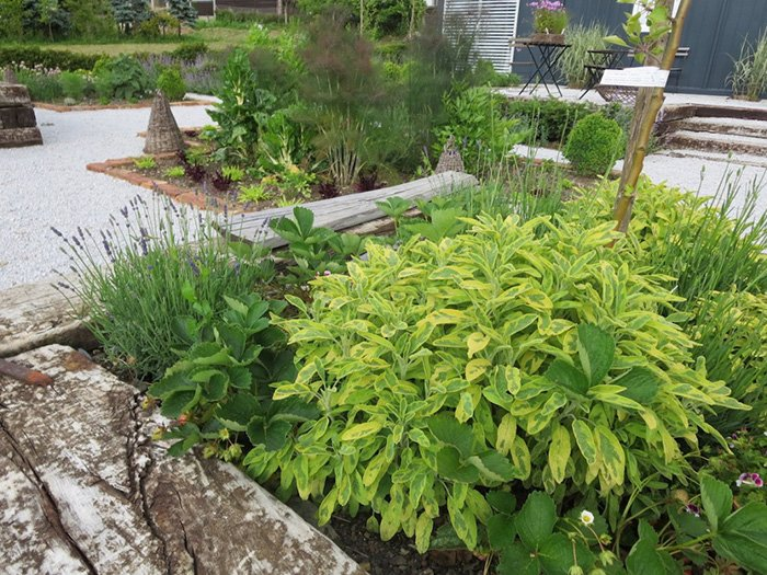 Превью изображения